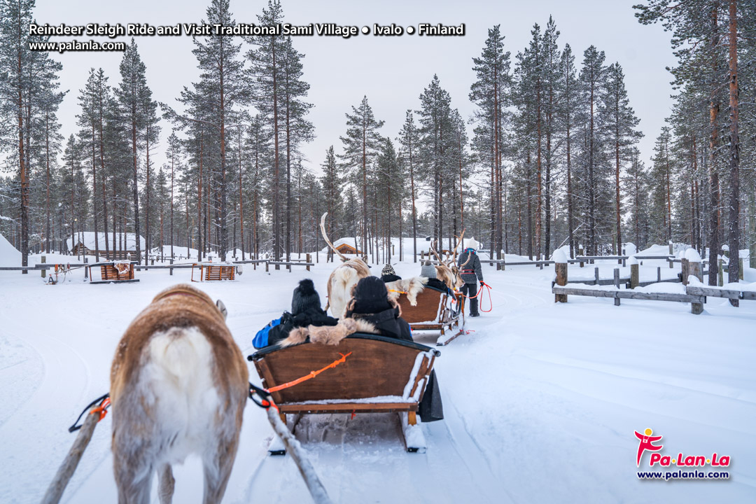 7 Days in Lapland